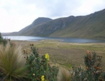 Imagen Laguna de Culebrillas
